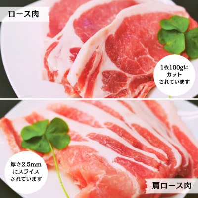 「とよかわみー豚」5種のバラエティセット(4～5人前)
