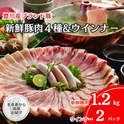 「とよかわみー豚」しゃぶしゃぶセット(ウインナー付き)【4～5人前】