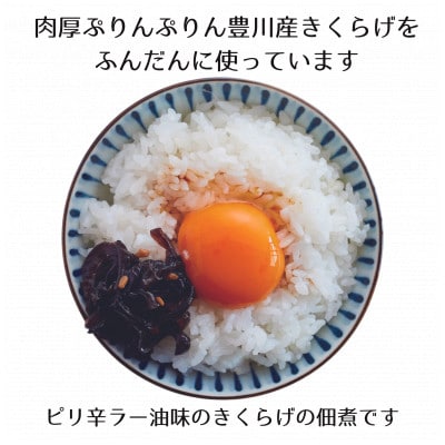 【メシ!酒!】きくらげラー油詰替20パック☆詰替え用きくらげ佃煮☆卵かけご飯、酒の肴に!