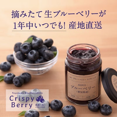 【愛知県産】クリスピーベリーセット　生ブルーベリー×2パック ブルーベリースプレッド×1個