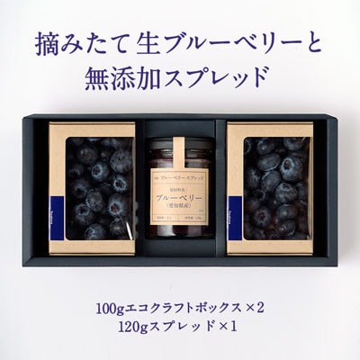 【愛知県産】クリスピーベリーセット　生ブルーベリー×2パック ブルーベリースプレッド×1個