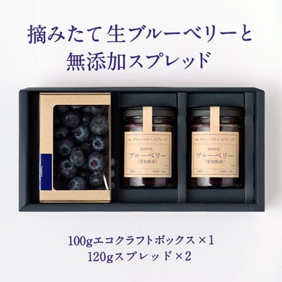 【愛知県産】クリスピーベリーセット　生ブルーベリー×1パック ブルーベリースプレッド×2個