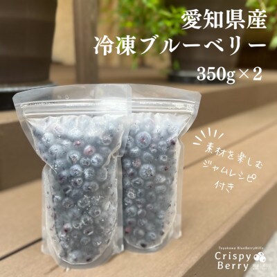 【愛知県産】【ジャムレシピ付き】冷凍ブルーベリー700g(350g×2)