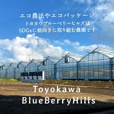 【愛知県産】【ジャムレシピ付き】冷凍ブルーベリー700g(350g×2)