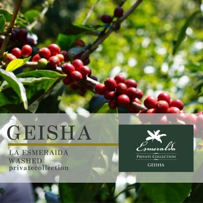エスメラルダ農園 ゲイシャ コーヒー ドリップバッグ8袋入り ギフトセット