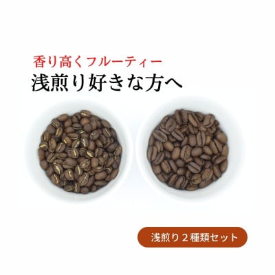 スペシャルティコーヒー 浅煎り コーヒー豆2種類セット　合計600g(豆のまま)