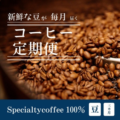 【毎月定期便】毎月違うコーヒー豆をお届け スペシャルティコーヒー 豆 300g全3回