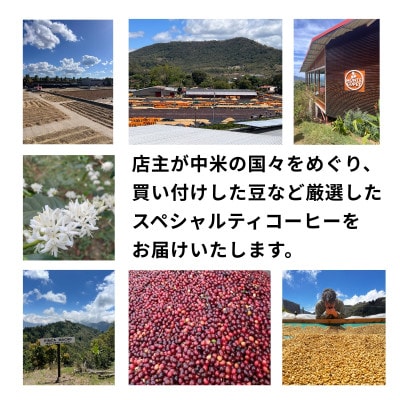 【毎月定期便】毎月違うコーヒー豆をお届け スペシャルティコーヒー 豆 300g全3回