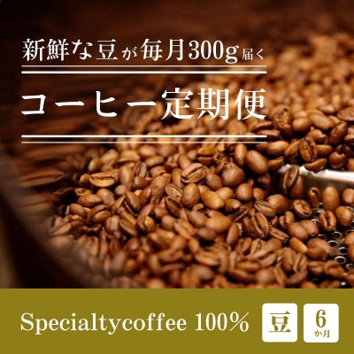 【毎月定期便】毎月違うコーヒー豆をお届け スペシャルティコーヒー 豆 300g全6回