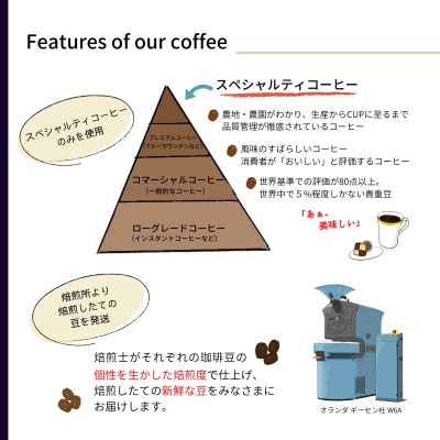 【毎月定期便】毎月違うコーヒー豆をお届け スペシャルティコーヒー 豆 300g全6回