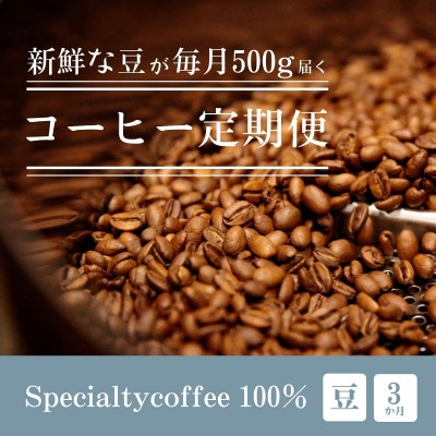 【毎月定期便】毎月違うコーヒー豆をお届け スペシャルティコーヒー 豆 500g全3回