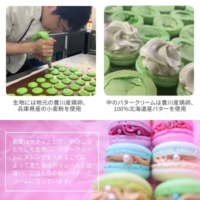 ジュエルマカロン10個セット | 愛知県豊川市 | ふるさと納税 ジュエルマカロン10個セット | 愛知県豊川市 | ふるさと納税