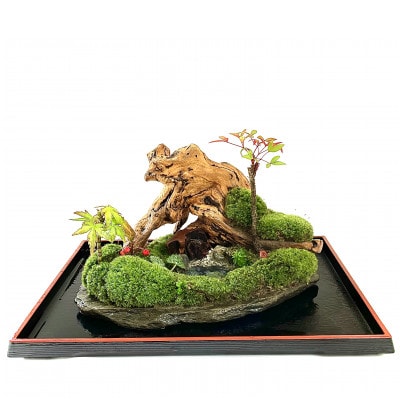 苔盆景川石山水画は、心を癒す美しい自然の景観をお部屋に届けるアイテムです。