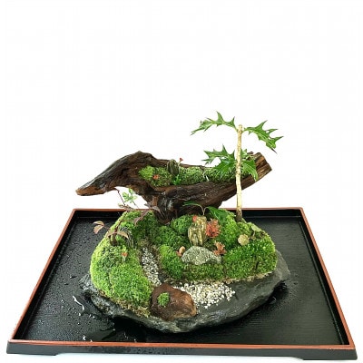 苔盆景川石山水画は、心を癒す美しい自然の景観をお部屋に届けるアイテムです。