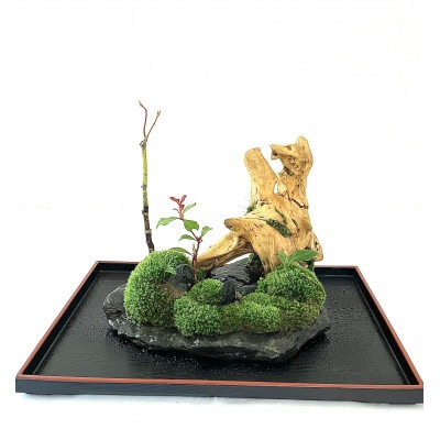 苔盆景川石山水画は、心を癒す美しい自然の景観をお部屋に届けるアイテムです。