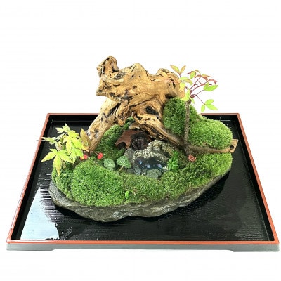 苔盆景川石山水画は、心を癒す美しい自然の景観をお部屋に届けるアイテムです。