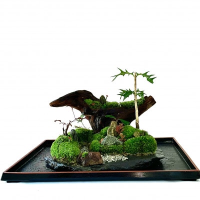 苔盆景川石山水画は、心を癒す美しい自然の景観をお部屋に届けるアイテムです。