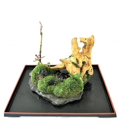 苔盆景川石山水画は、心を癒す美しい自然の景観をお部屋に届けるアイテムです。
