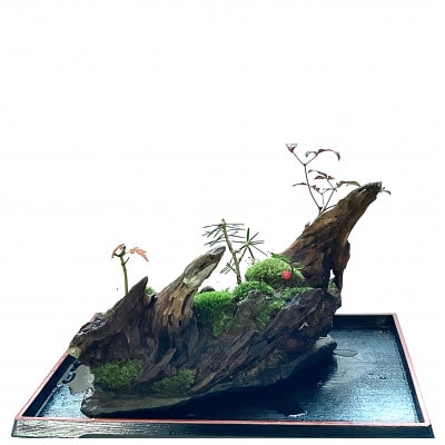 苔盆景川石山水画は、心を癒す美しい自然の景観をお部屋に届ける 苔盆景川石山水画は、心を癒す美しい自然の景観をお部屋に届ける