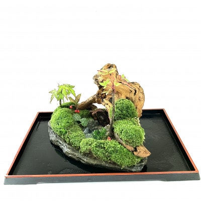 苔盆景川石山水画は、心を癒す美しい自然の景観をお部屋に届けるアイテムです。