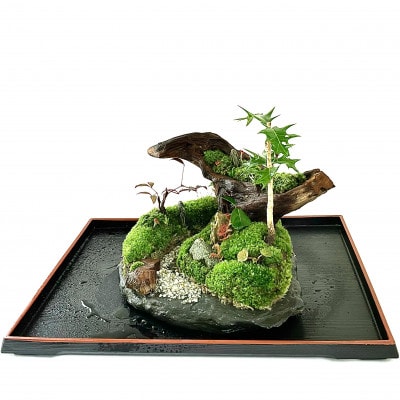 苔盆景川石山水画は、心を癒す美しい自然の景観をお部屋に届けるアイテムです。