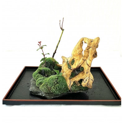 苔盆景川石山水画は、心を癒す美しい自然の景観をお部屋に届けるアイテムです。