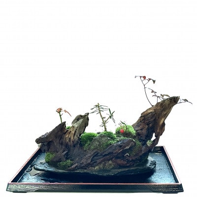 苔盆景川石山水画は、心を癒す美しい自然の景観をお部屋に届けるアイテムです。