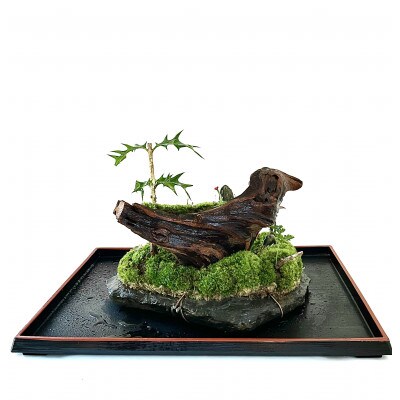 苔盆景川石山水画は、心を癒す美しい自然の景観をお部屋に届けるアイテムです。