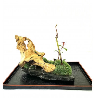 苔盆景川石山水画は、心を癒す美しい自然の景観をお部屋に届けるアイテムです。