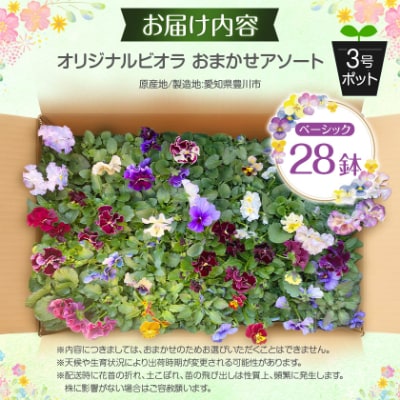 オリジナルビオラおまかせアソート〈ベーシック 28鉢〉