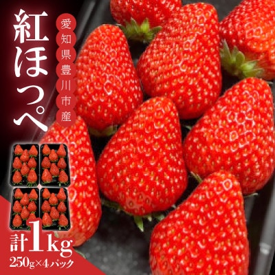 【発送月固定定期便】紅ほっぺ【250g×4パック】全3回