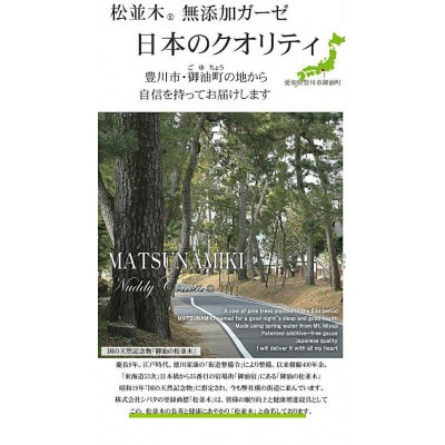 【豊川市ふるさと納税】【松並木】元祖無添加1重ガーゼ掛け布団カバー/シングル