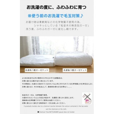 【豊川市ふるさと納税】【松並木】元祖無添加1重ガーゼ掛け布団カバー/シングル