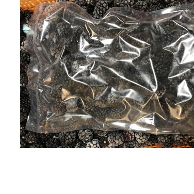 冷凍ブラックベリー1キロ　栽培期間中農薬不使用