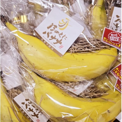 ほのくにバナナ　170g以上(LL)8本入り