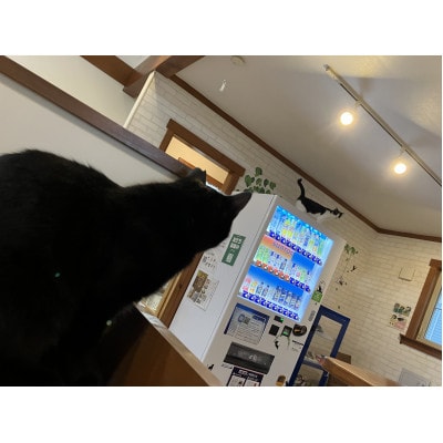 【さとふる限定】保護猫カフェ体験チケット計2名様分