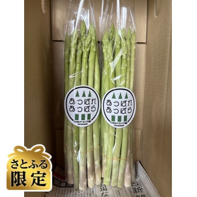 【さとふる限定】【2026年4月～順次発送予定】新鮮朝採れアスパラガス 1kg