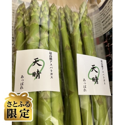 【さとふる限定】【2026年4月～順次発送予定】特選アスパラガス 1kg