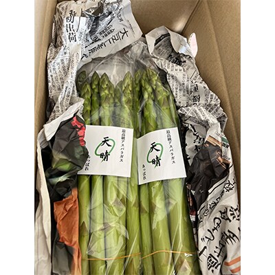 【2026年4月～順次発送予定】特選アスパラガス 1kg