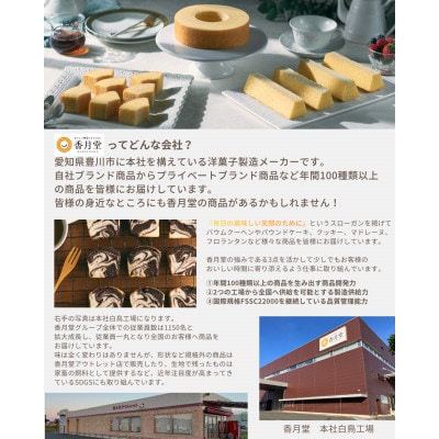 【香月堂】パウンドケーキフルーツ　64個(8個入り×8袋)