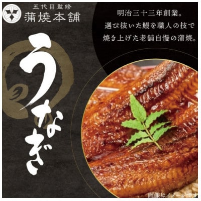 うなぎ蒲焼　4缶セット