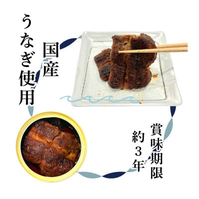 うなぎ蒲焼　4缶セット