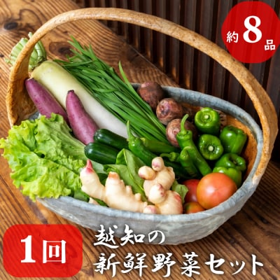 越知産市の季節の野菜セット(年1回発送)　産地直送　旬野菜