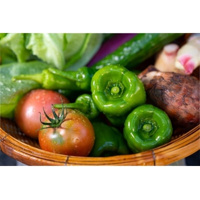 越知産市の季節の野菜セット(年1回発送)　産地直送　旬野菜