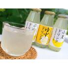 柑橘ドリンク(3種類×各8本)