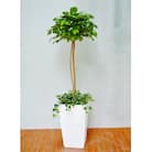 防災グッズ　タスカルグリーン(造花)TG-022