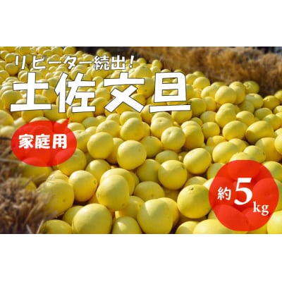 【2024年発送】(家庭用)土佐文旦(約5kg/8～12玉) 　フルーツ 果物 新鮮 産直 | ふるさと納税のお礼品