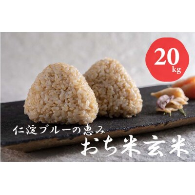 仁淀ブルーの恵み「おち米」(玄米)20kg 
