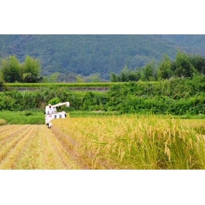 仁淀ブルーの恵み「おち米」(玄米)20kg 