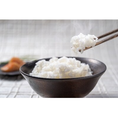 越知町産自然いっぱいで育った【早生米】 3kg 